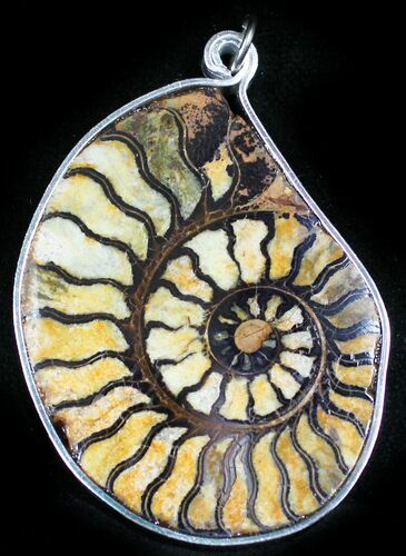 Moroccan Ammonite Fossil Pendant #27411